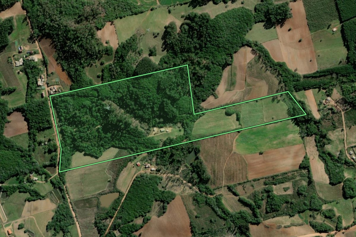 Imagem de satélite do imóvel rural em Barão do Triunfo (RS), com o contorno declarado no CAR desenhado por cima.