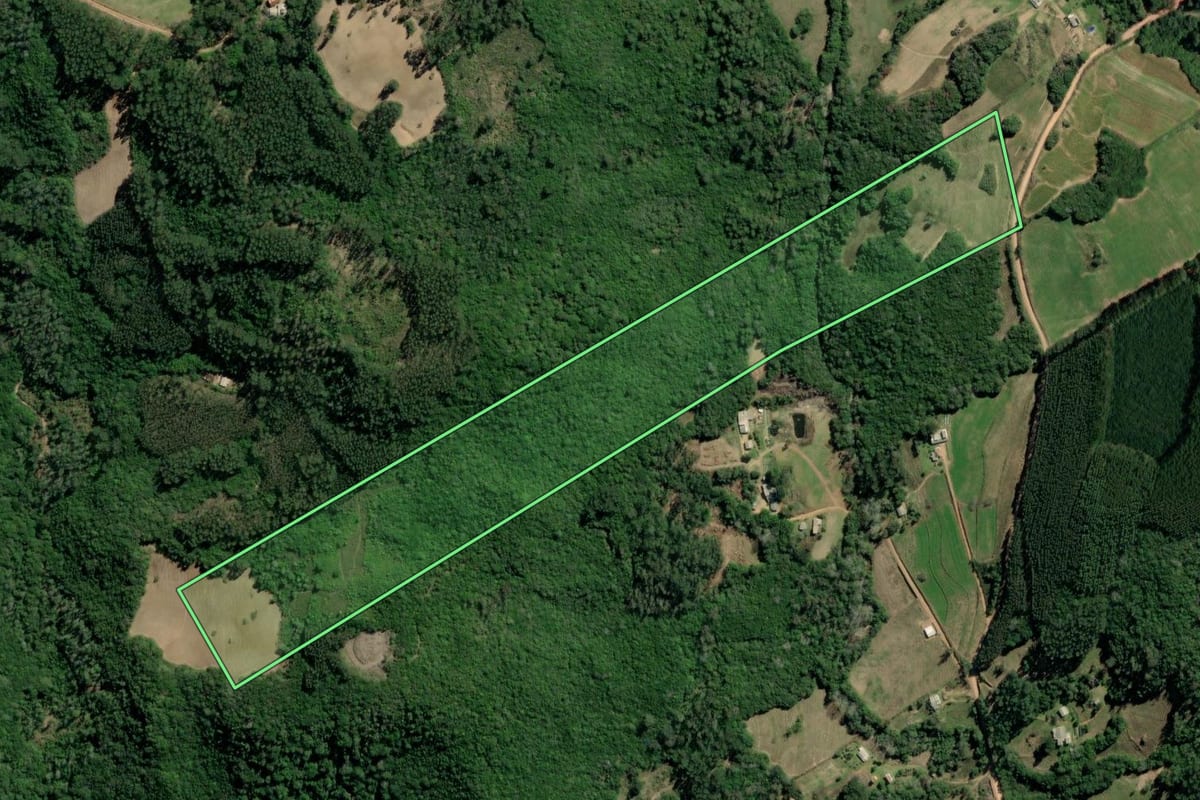 Imagem de satélite do imóvel rural em Barão do Triunfo (RS), com o contorno declarado no CAR desenhado por cima.