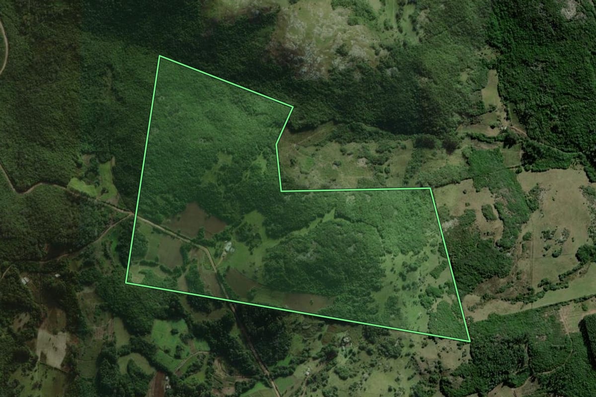 Imagem de satélite do imóvel rural em Barão do Triunfo (RS), com o contorno declarado no CAR desenhado por cima.