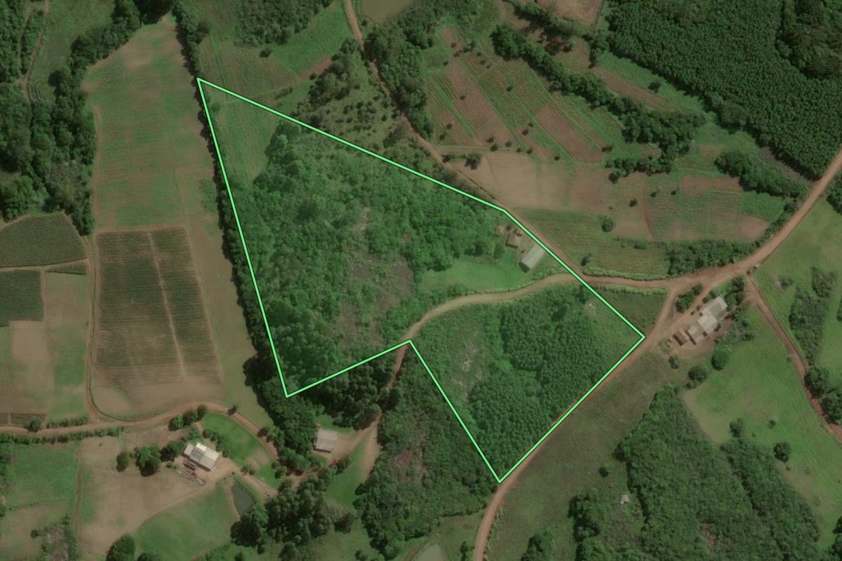 Imagem de satélite do imóvel rural em Barão do Triunfo (RS), com o contorno declarado no CAR desenhado por cima.