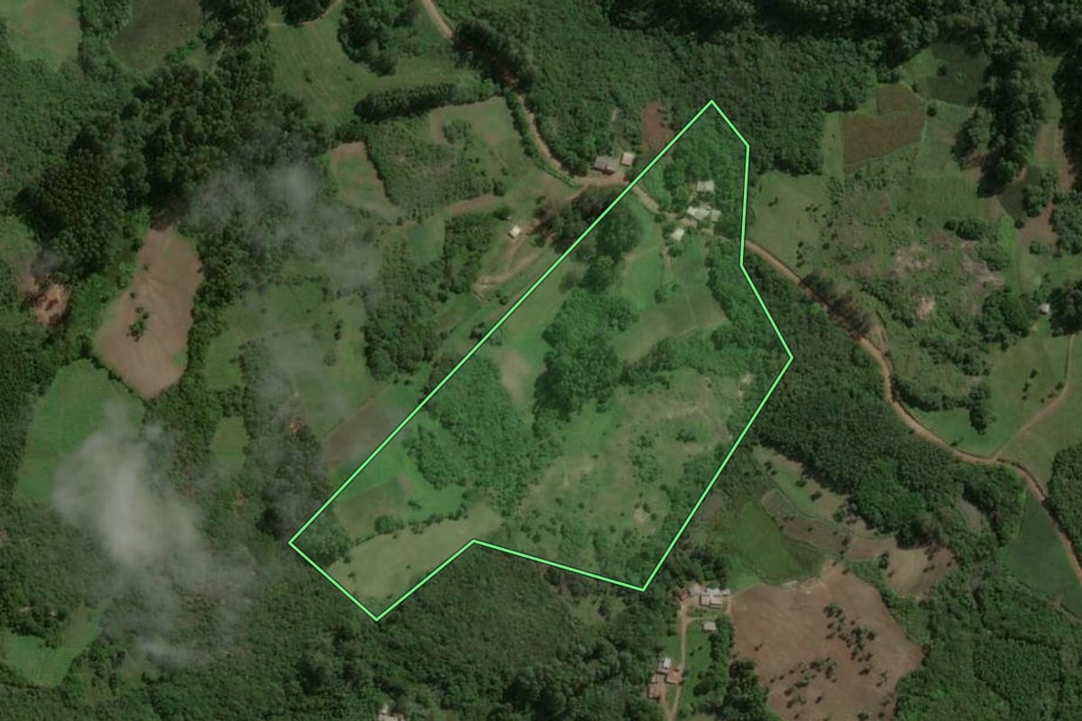 Imagem de satélite do imóvel rural em Barão do Triunfo (RS), com o contorno declarado no CAR desenhado por cima.