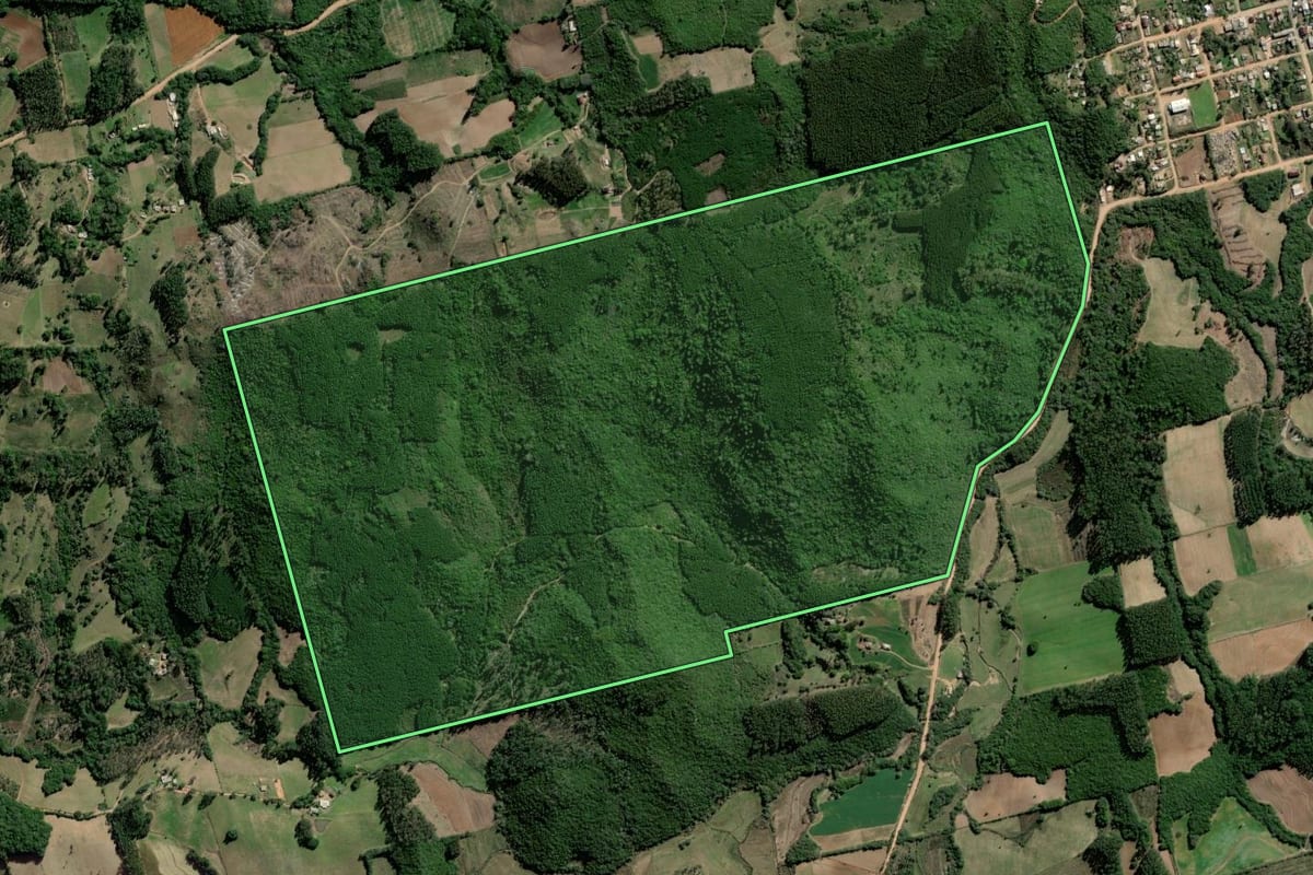 Imagem de satélite do imóvel rural em Barão do Triunfo (RS), com o contorno declarado no CAR desenhado por cima.