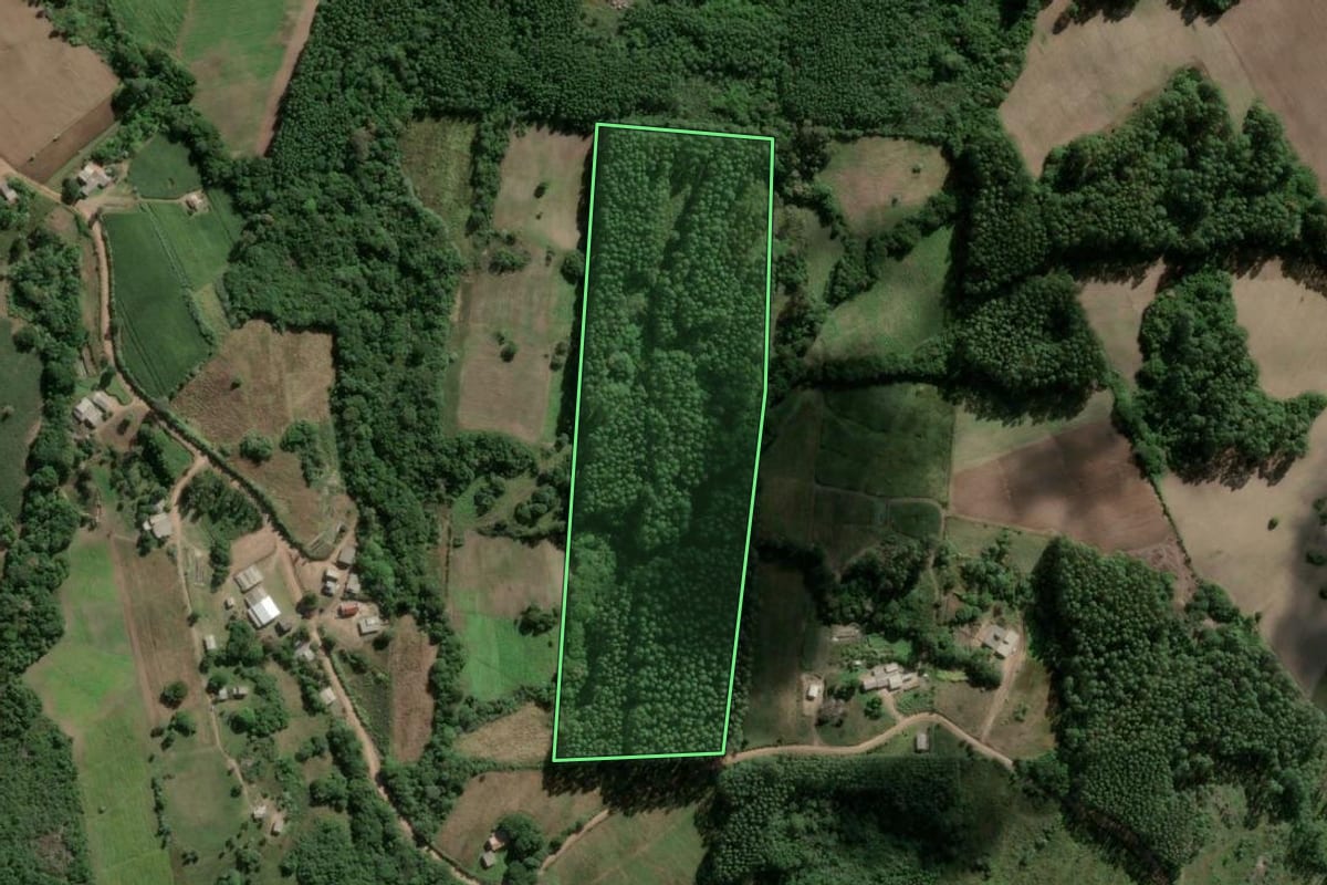 Imagem de satélite do imóvel rural em Barão do Triunfo (RS), com o contorno declarado no CAR desenhado por cima.