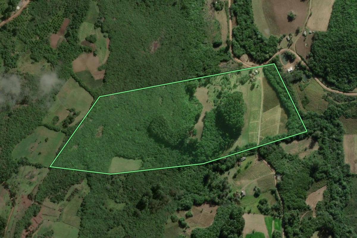 Imagem de satélite do imóvel rural em Barão do Triunfo (RS), com o contorno declarado no CAR desenhado por cima.