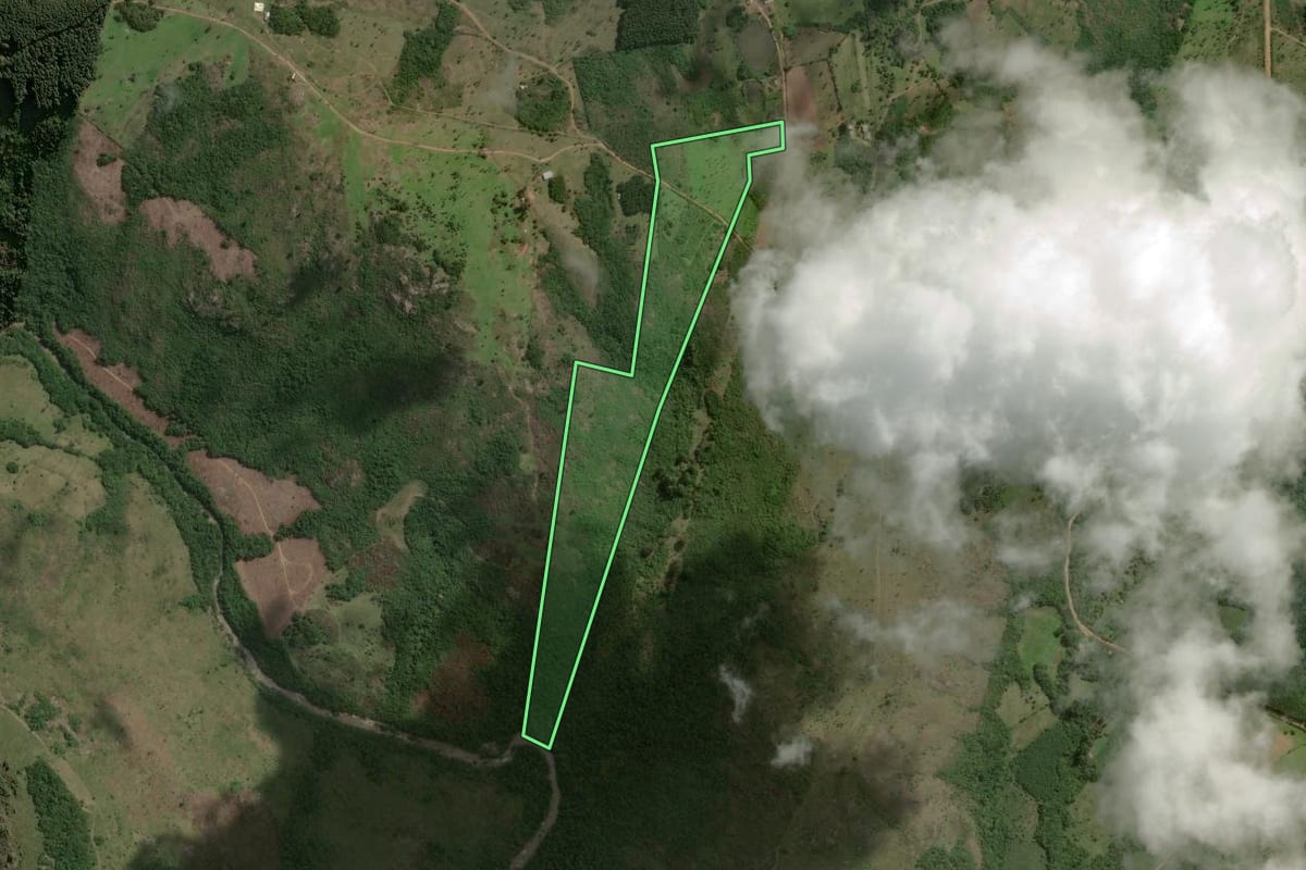 Imagem de satélite do imóvel rural em Barão do Triunfo (RS), com o contorno declarado no CAR desenhado por cima.
