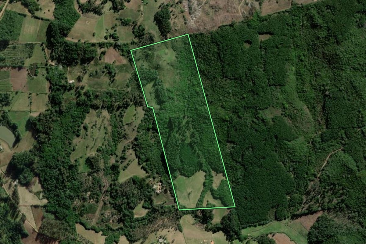 Imagem de satélite do imóvel rural em Barão do Triunfo (RS), com o contorno declarado no CAR desenhado por cima.