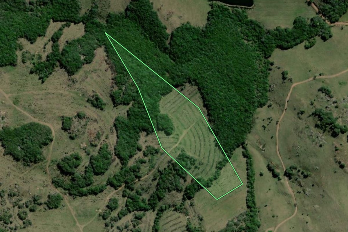 Imagem de satélite do imóvel rural em Barão do Triunfo (RS), com o contorno declarado no CAR desenhado por cima.