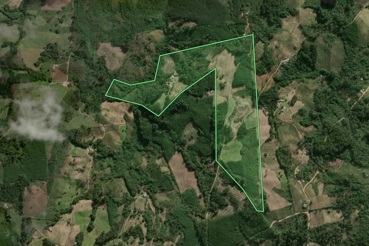 Imagem de satélite do imóvel rural em Barão do Triunfo (RS), com o contorno declarado no CAR desenhado por cima.