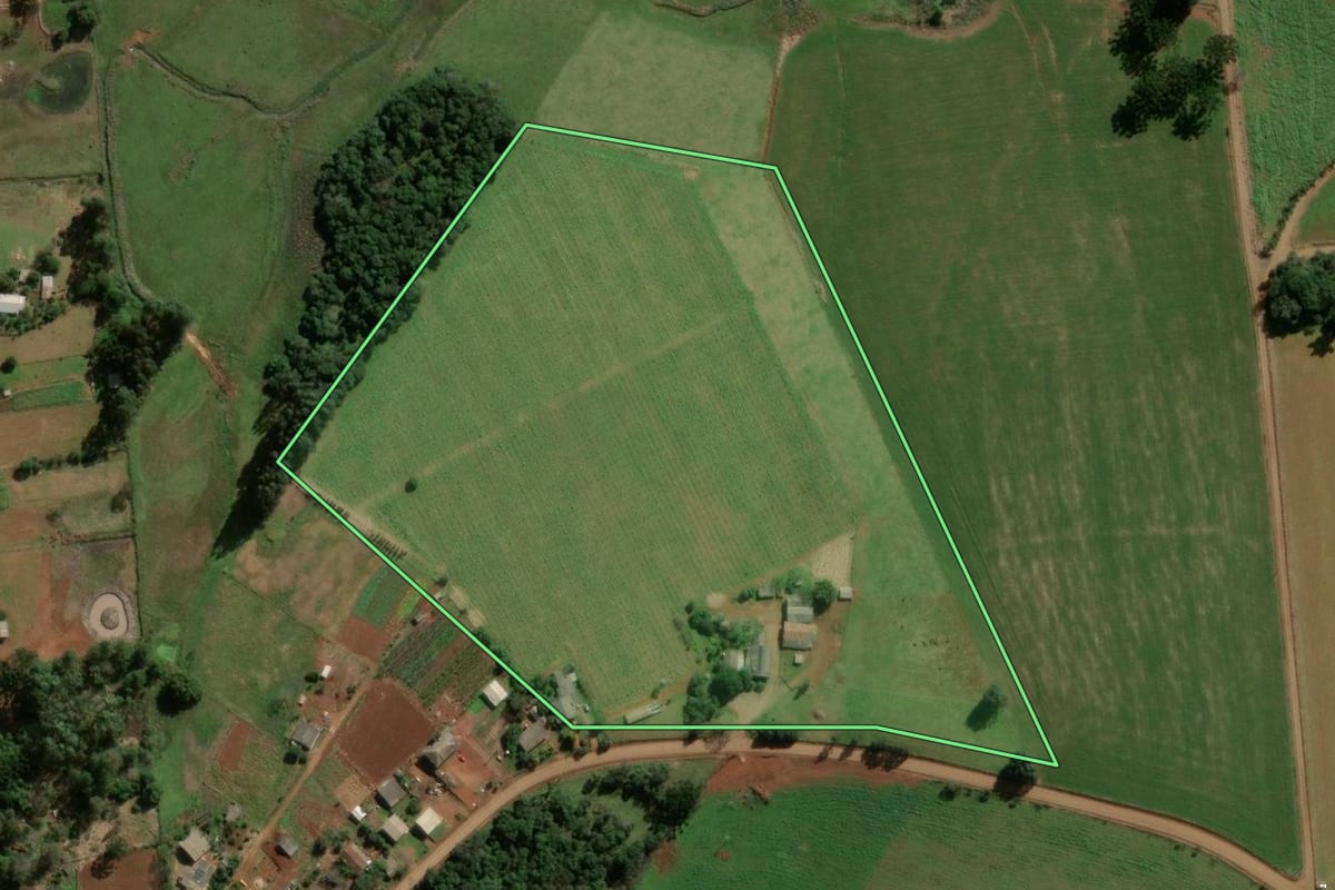 Imagem de satélite do imóvel rural em Barracão (RS), com o contorno declarado no CAR desenhado por cima.