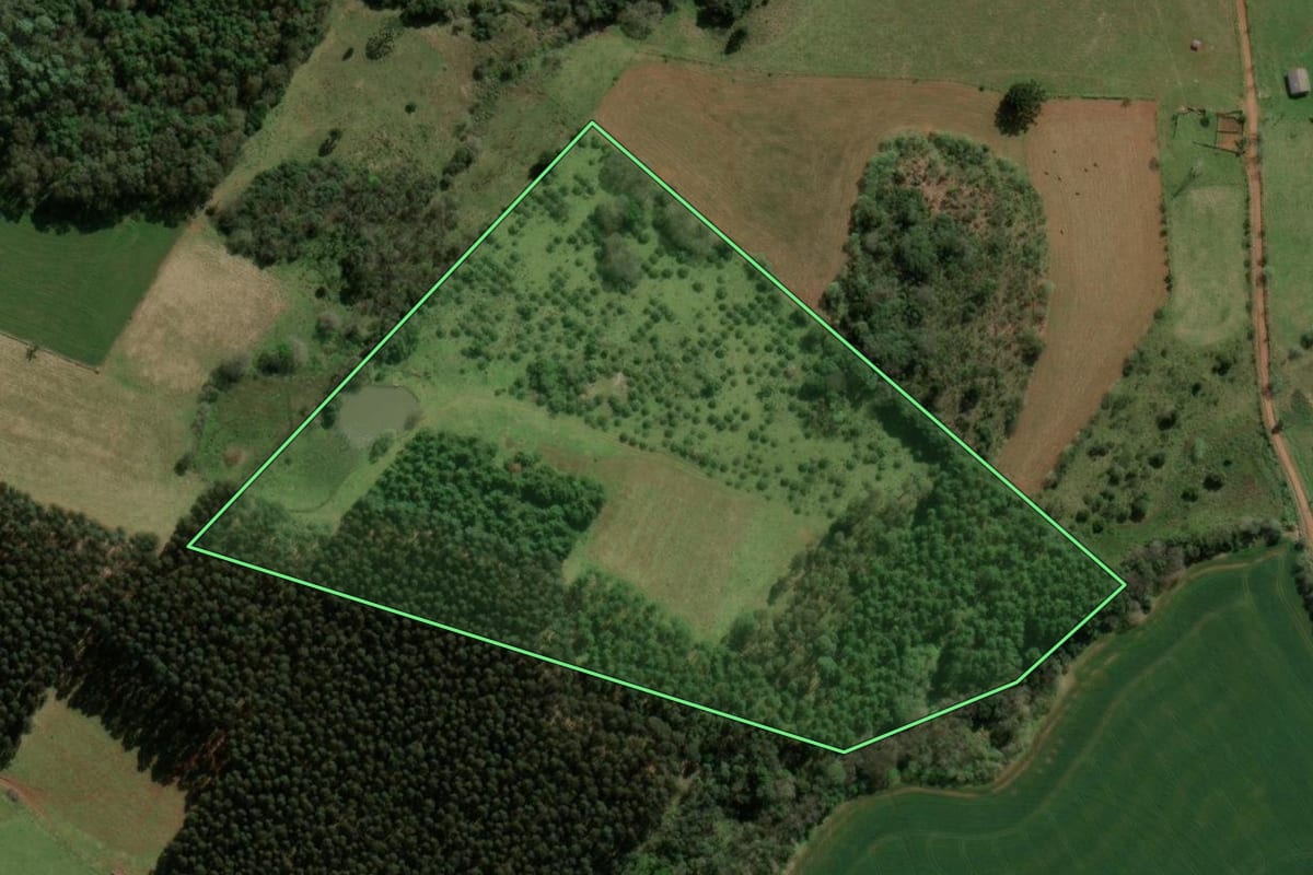 Imagem de satélite do imóvel rural em Barracão (RS), com o contorno declarado no CAR desenhado por cima.