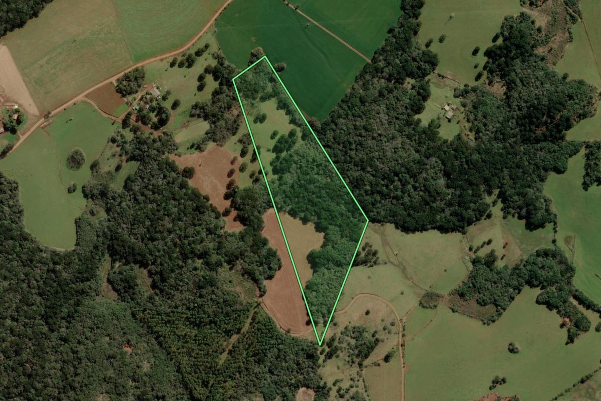 Imagem de satélite do imóvel rural em Barracão (RS), com o contorno declarado no CAR desenhado por cima.