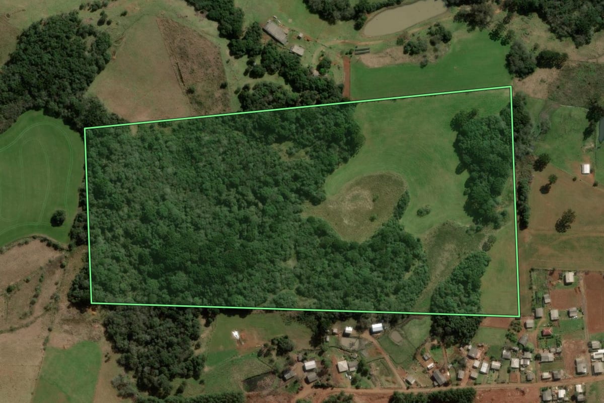 Imagem de satélite do imóvel rural em Barracão (RS), com o contorno declarado no CAR desenhado por cima.