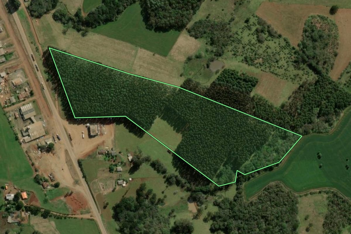 Imagem de satélite do imóvel rural em Barracão (RS), com o contorno declarado no CAR desenhado por cima.