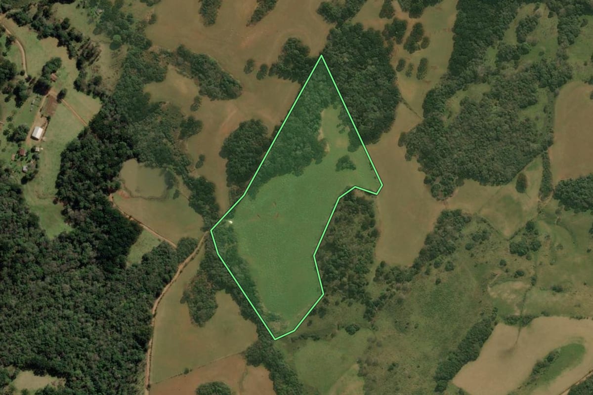 Imagem de satélite do imóvel rural em Barracão (RS), com o contorno declarado no CAR desenhado por cima.
