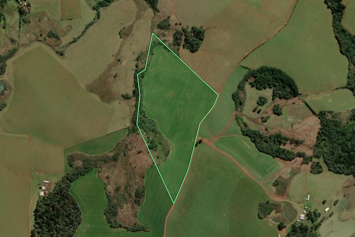 Imagem de satélite do imóvel rural em Barracão (RS), com o contorno declarado no CAR desenhado por cima.