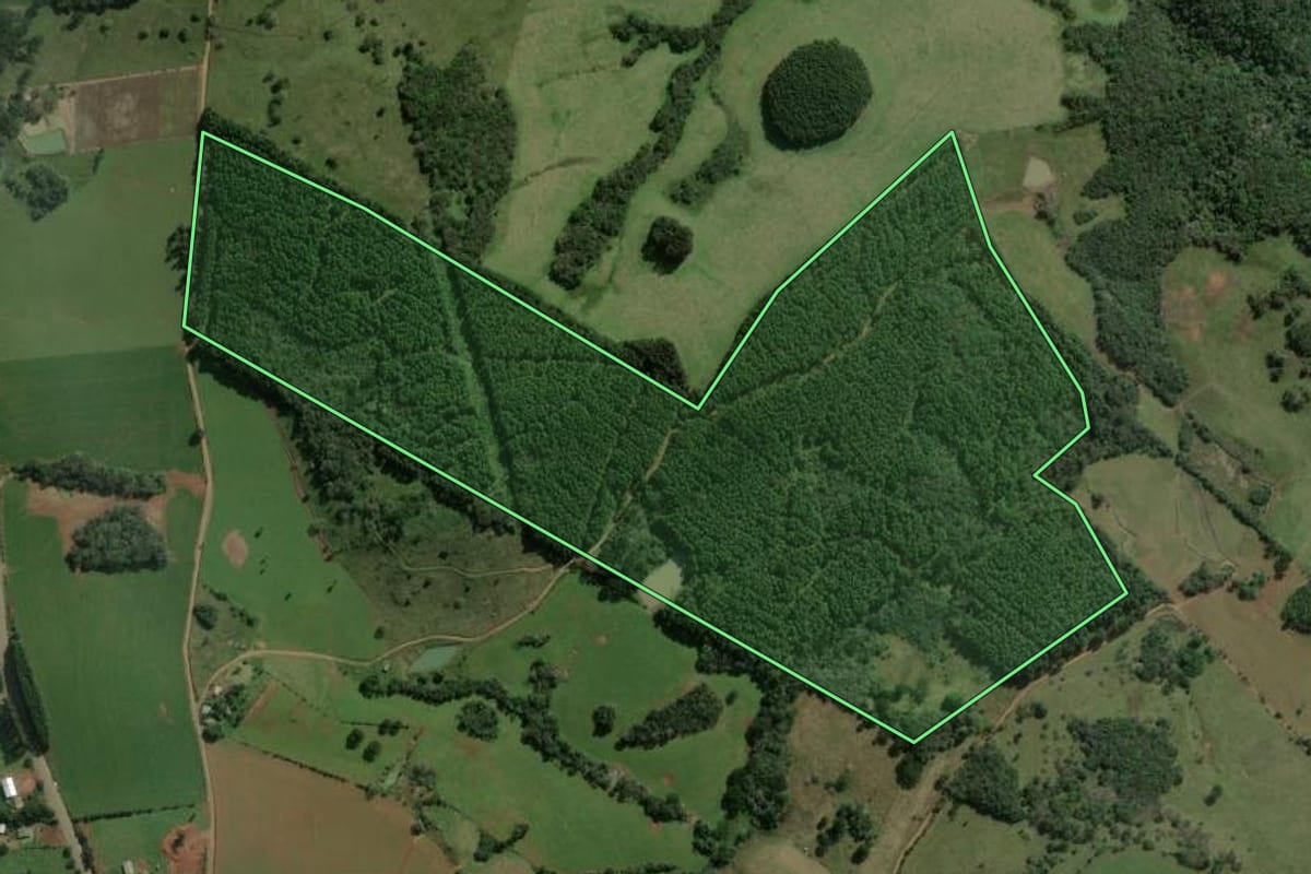 Imagem de satélite do imóvel rural em Barracão (RS), com o contorno declarado no CAR desenhado por cima.