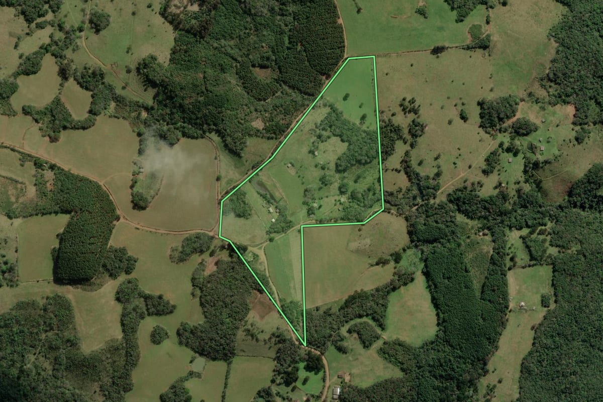 Imagem de satélite do imóvel rural em Barracão (RS), com o contorno declarado no CAR desenhado por cima.