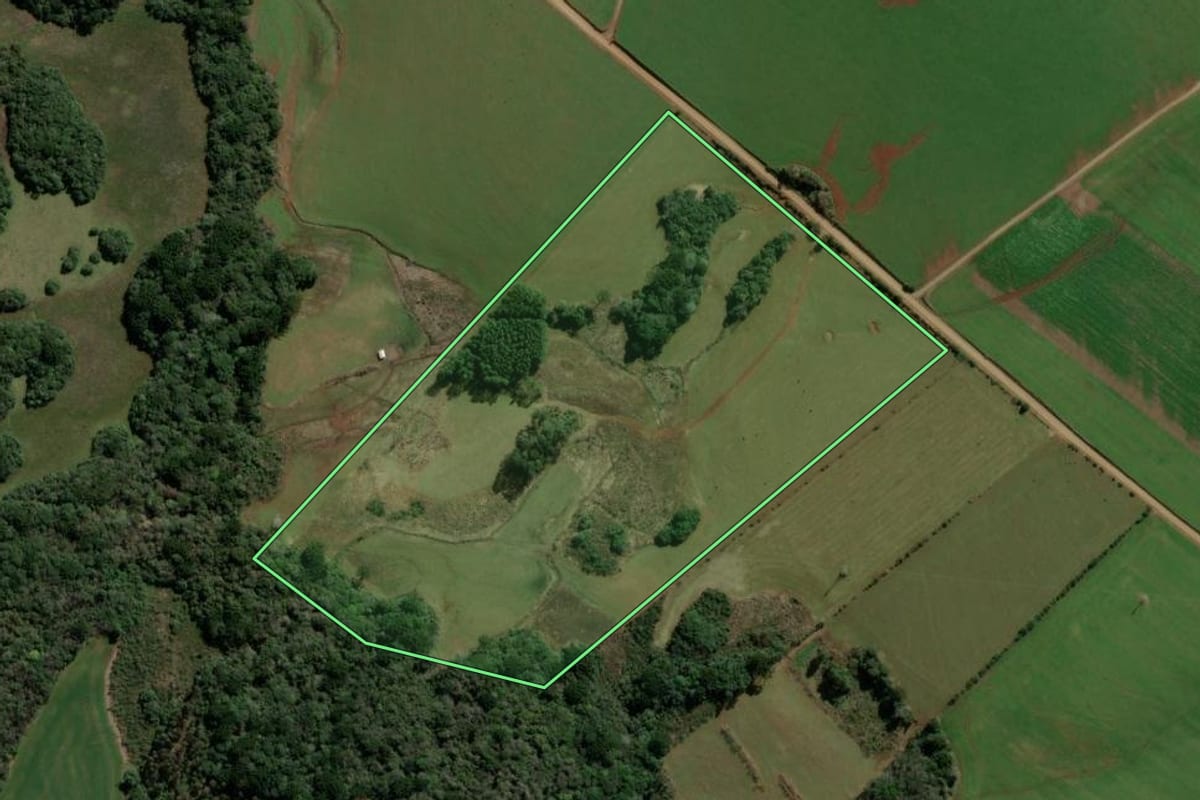 Imagem de satélite do imóvel rural em Barracão (RS), com o contorno declarado no CAR desenhado por cima.