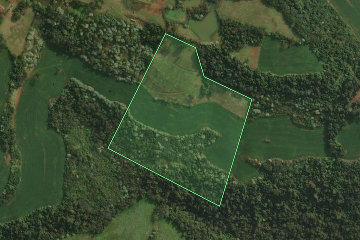 Imagem de satélite do imóvel rural em Barra do Guarita (RS), com o contorno declarado no CAR desenhado por cima.