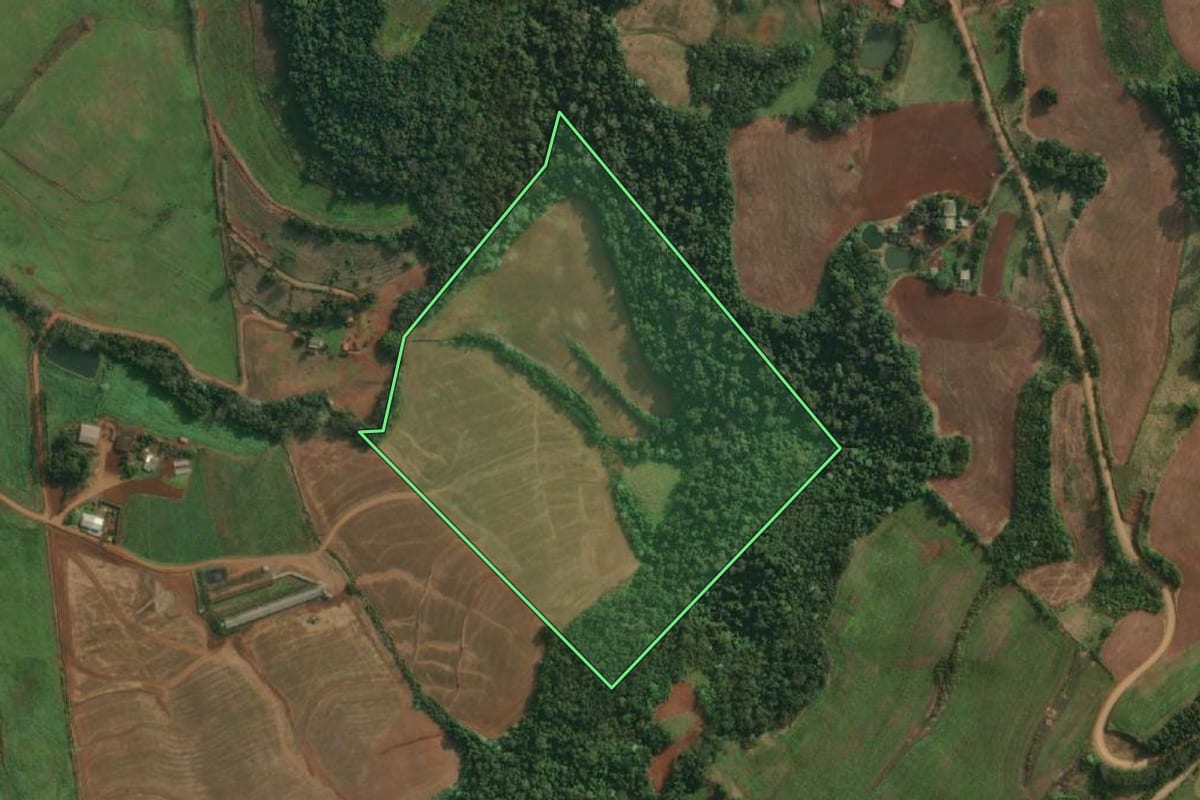 Imagem de satélite do imóvel rural em Barra do Guarita (RS), com o contorno declarado no CAR desenhado por cima.