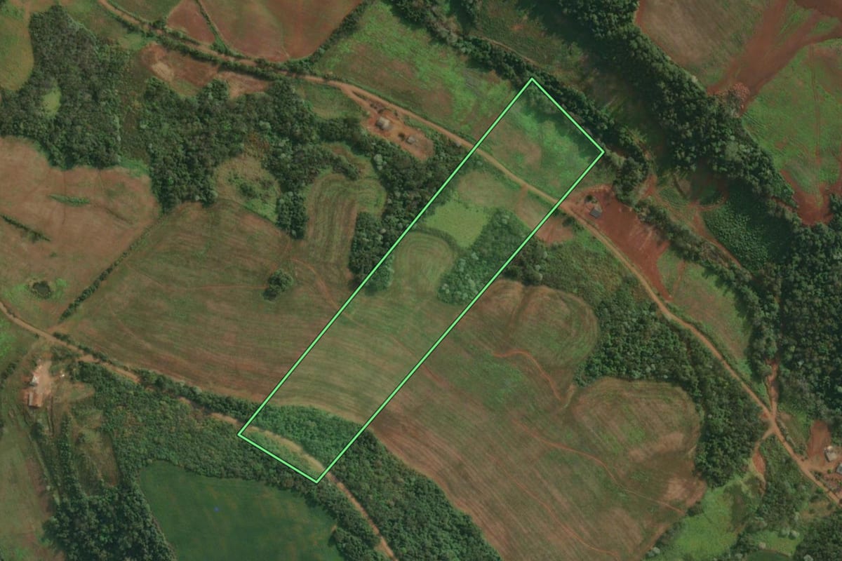 Imagem de satélite do imóvel rural em Barra do Guarita (RS), com o contorno declarado no CAR desenhado por cima.