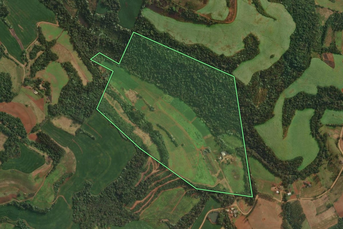 Imagem de satélite do imóvel rural em Barra do Guarita (RS), com o contorno declarado no CAR desenhado por cima.