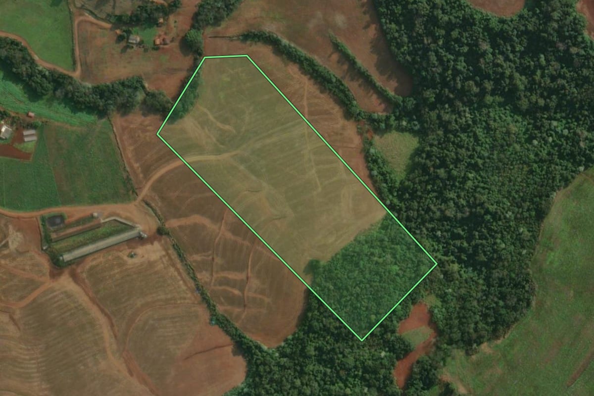 Imagem de satélite do imóvel rural em Barra do Guarita (RS), com o contorno declarado no CAR desenhado por cima.