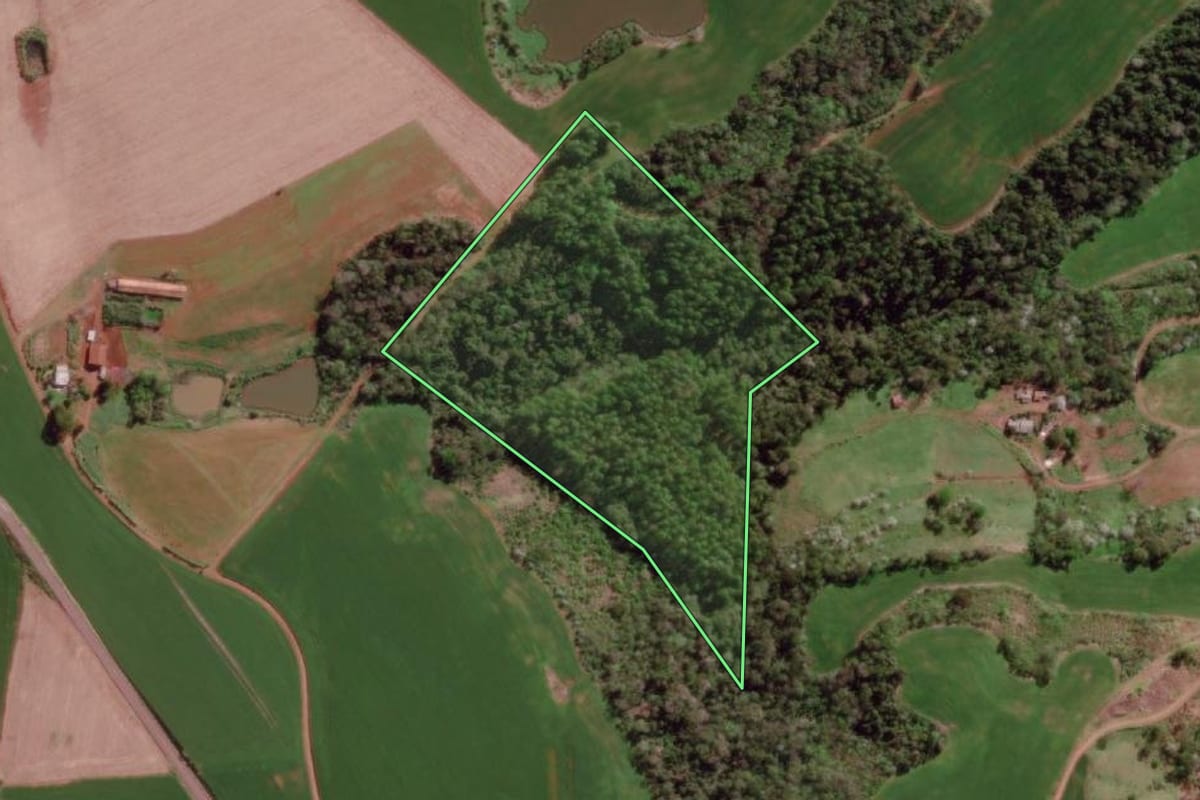 Imagem de satélite do imóvel rural em Barra do Guarita (RS), com o contorno declarado no CAR desenhado por cima.