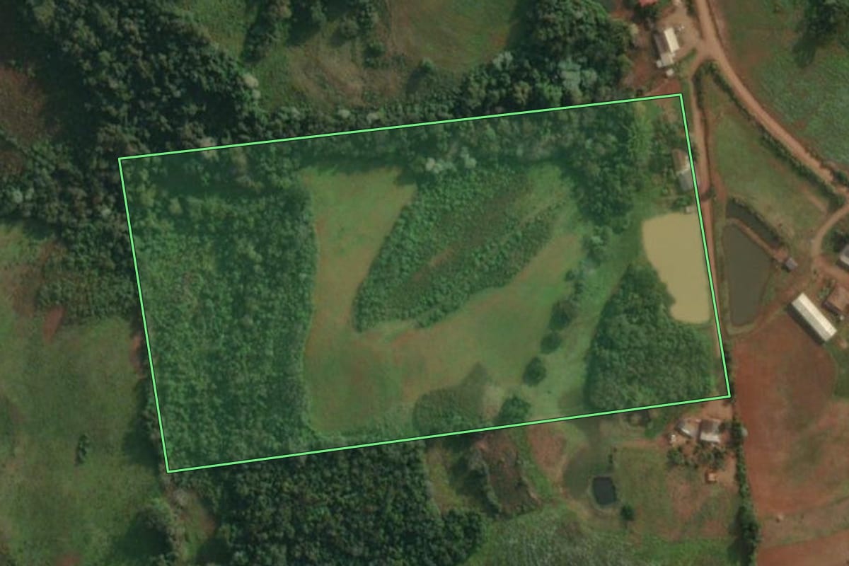 Imagem de satélite do imóvel rural em Barra do Guarita (RS), com o contorno declarado no CAR desenhado por cima.