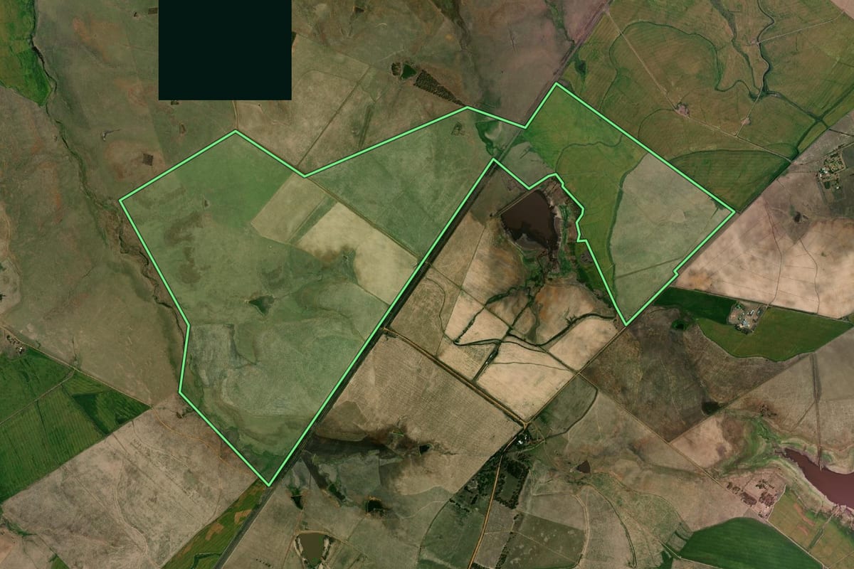 Imagem de satélite do imóvel rural em Barra do Quaraí (RS), com o contorno declarado no CAR desenhado por cima.