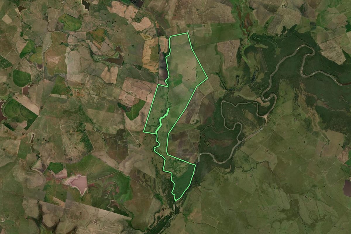 Imagem de satélite do imóvel rural em Barra do Quaraí (RS), com o contorno declarado no CAR desenhado por cima.