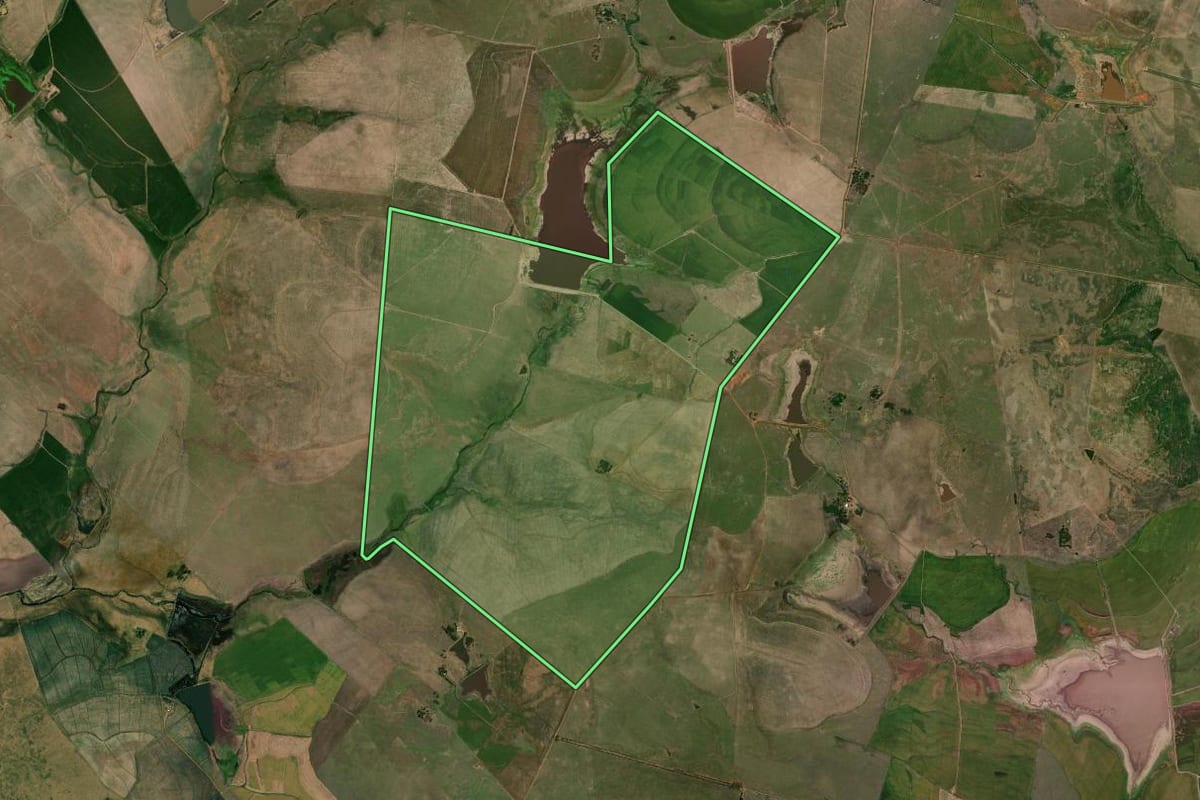 Imagem de satélite do imóvel rural em Barra do Quaraí (RS), com o contorno declarado no CAR desenhado por cima.