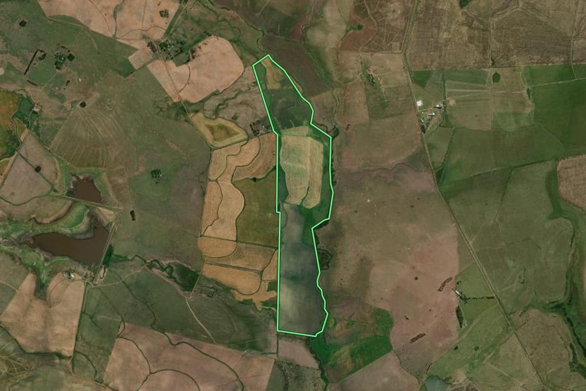 Imagem de satélite do imóvel rural em Barra do Quaraí (RS), com o contorno declarado no CAR desenhado por cima.