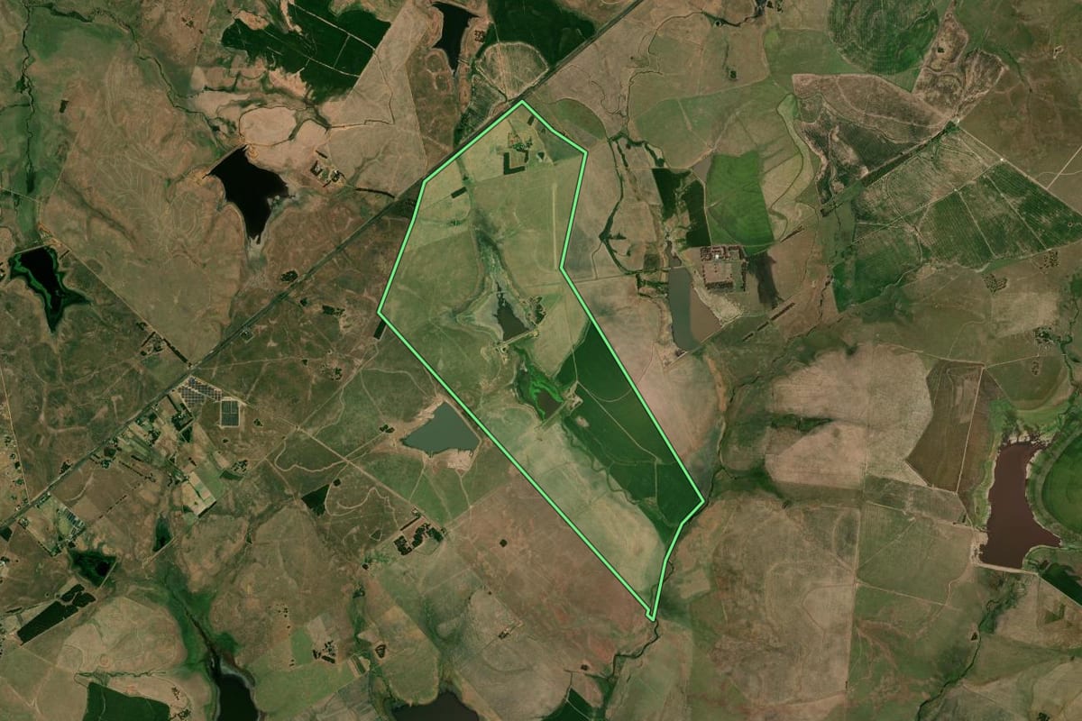 Imagem de satélite do imóvel rural em Barra do Quaraí (RS), com o contorno declarado no CAR desenhado por cima.