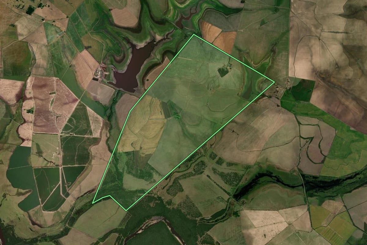 Imagem de satélite do imóvel rural em Barra do Quaraí (RS), com o contorno declarado no CAR desenhado por cima.