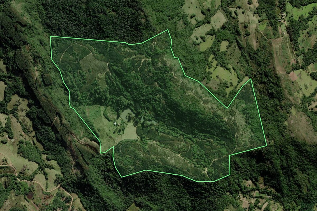Imagem de satélite do imóvel rural em Barra do Ribeiro (RS), com o contorno declarado no CAR desenhado por cima.
