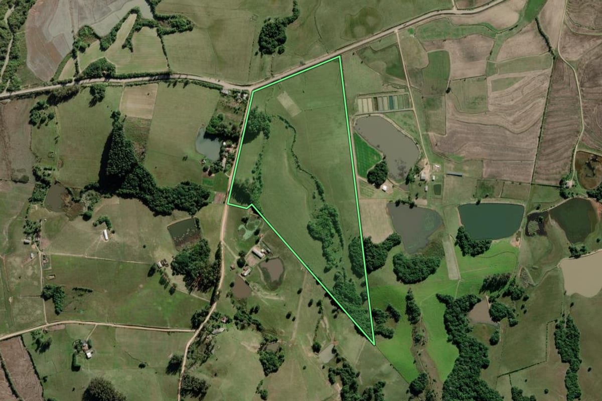 Imagem de satélite do imóvel rural em Barra do Ribeiro (RS), com o contorno declarado no CAR desenhado por cima.