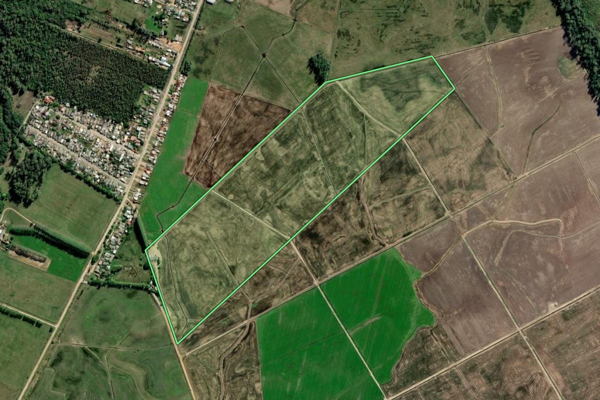 Imagem de satélite do imóvel rural em Barra do Ribeiro (RS), com o contorno declarado no CAR desenhado por cima.