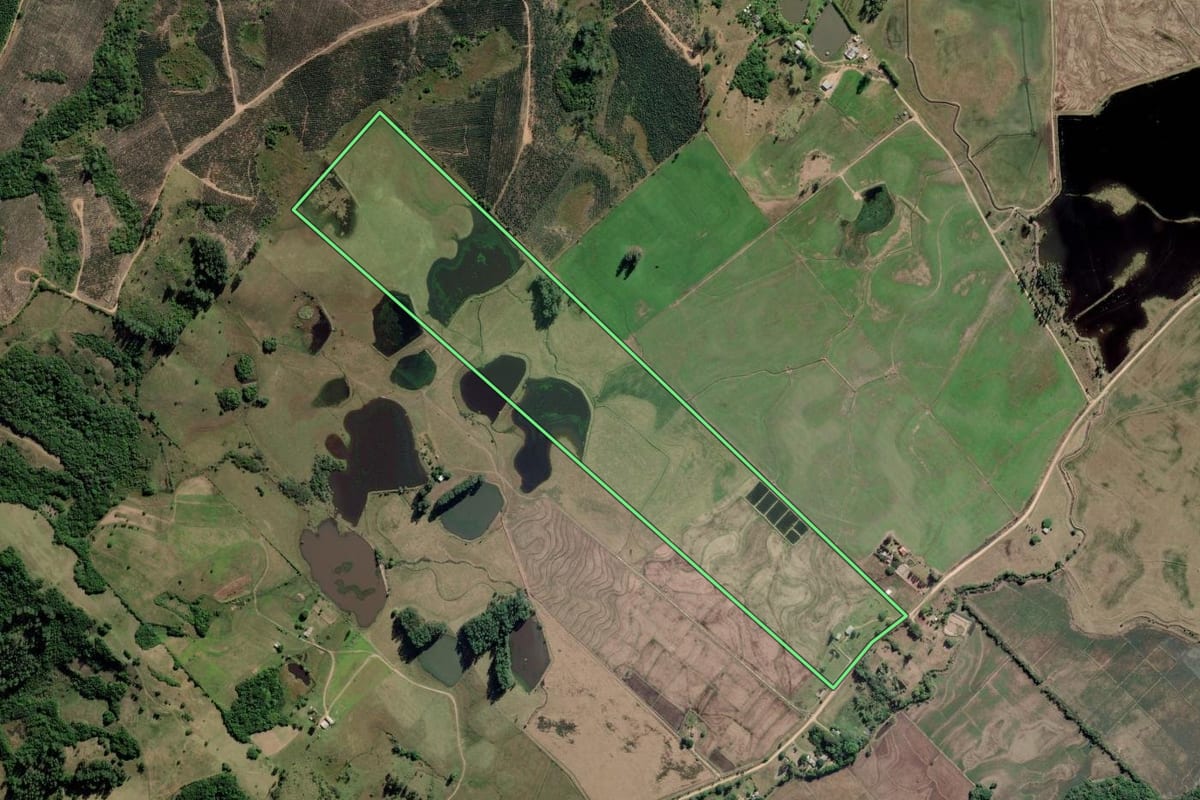 Imagem de satélite do imóvel rural em Barra do Ribeiro (RS), com o contorno declarado no CAR desenhado por cima.