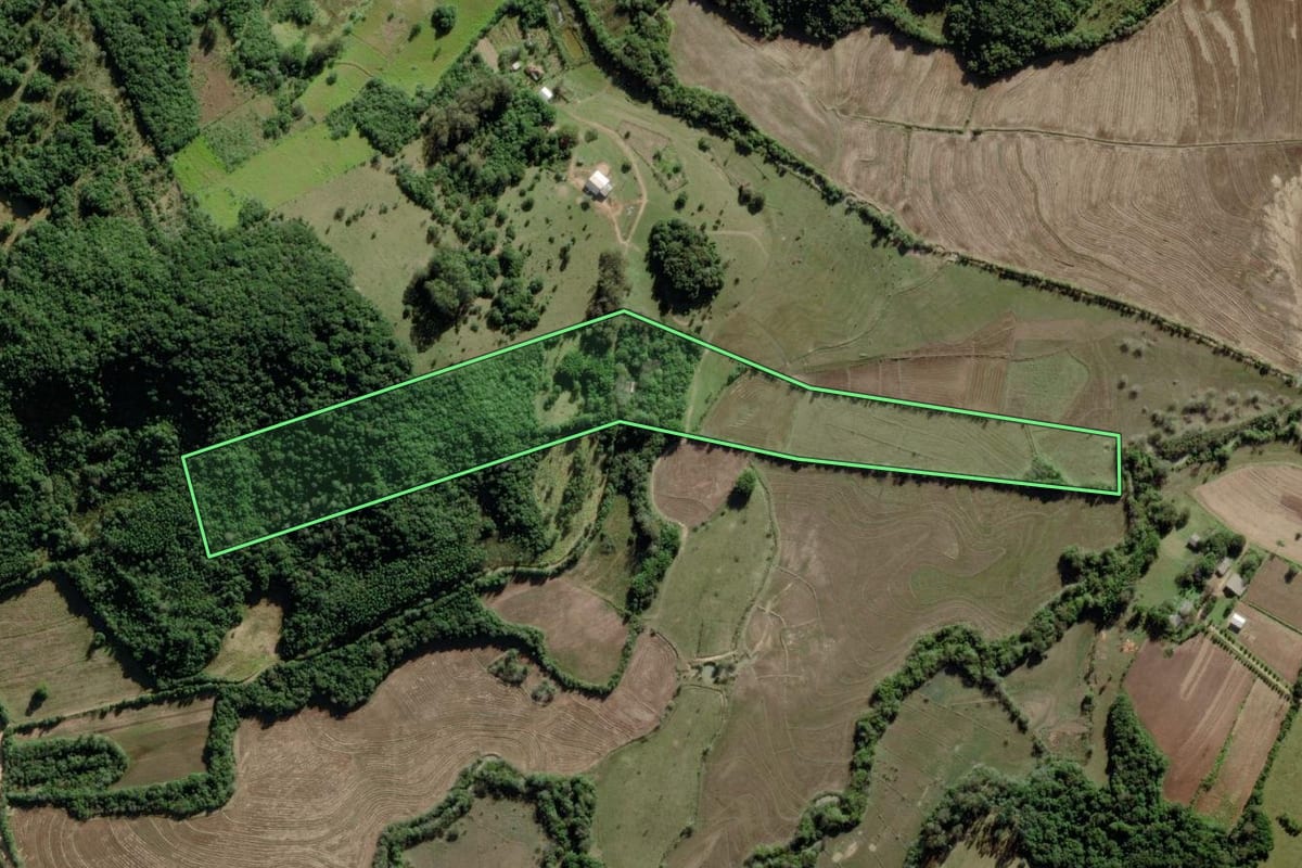 Imagem de satélite do imóvel rural em Barra do Ribeiro (RS), com o contorno declarado no CAR desenhado por cima.
