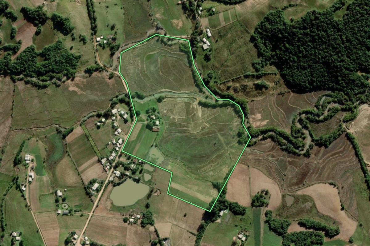 Imagem de satélite do imóvel rural em Barra do Ribeiro (RS), com o contorno declarado no CAR desenhado por cima.