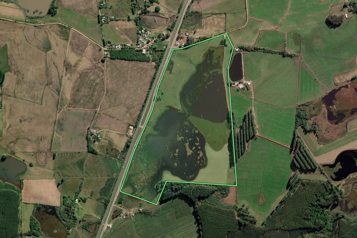 Imagem de satélite do imóvel rural em Barra do Ribeiro (RS), com o contorno declarado no CAR desenhado por cima.