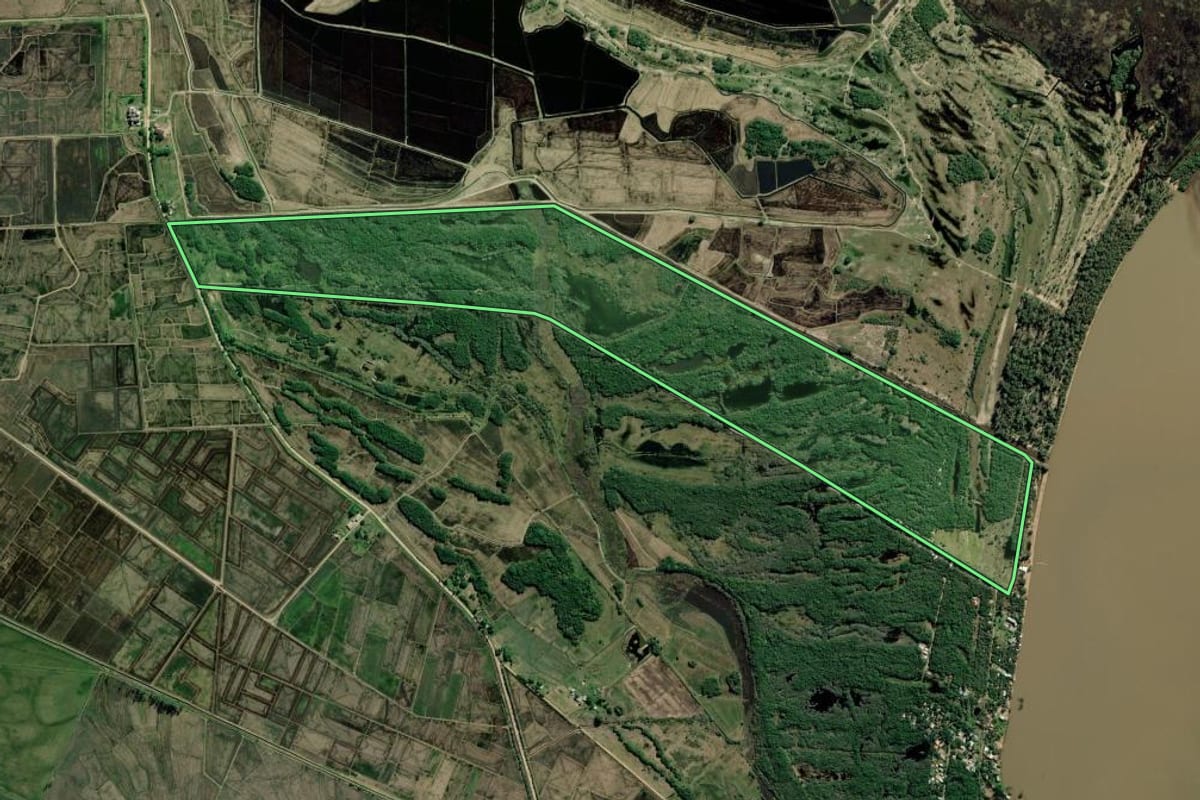 Imagem de satélite do imóvel rural em Barra do Ribeiro (RS), com o contorno declarado no CAR desenhado por cima.