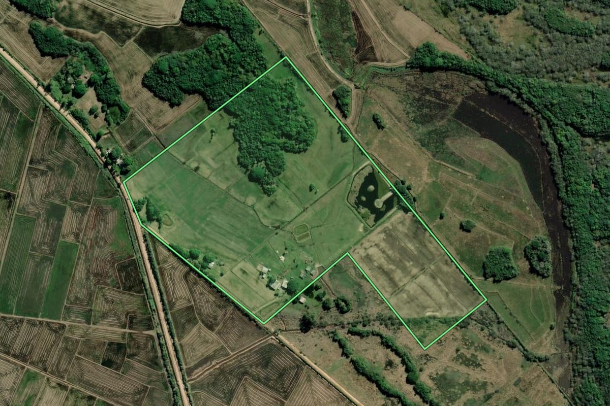Imagem de satélite do imóvel rural em Barra do Ribeiro (RS), com o contorno declarado no CAR desenhado por cima.