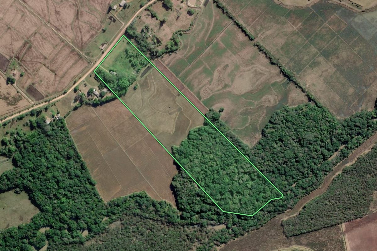 Imagem de satélite do imóvel rural em Barra do Ribeiro (RS), com o contorno declarado no CAR desenhado por cima.