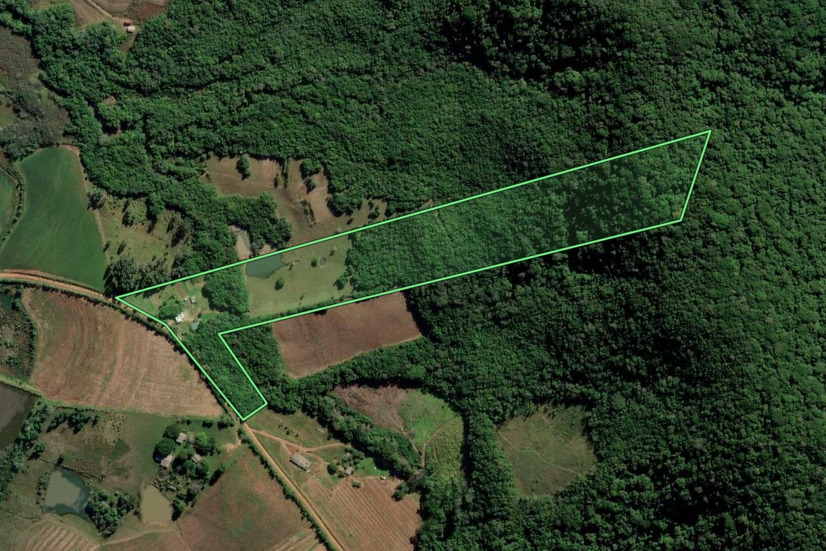 Imagem de satélite do imóvel rural em Barra do Ribeiro (RS), com o contorno declarado no CAR desenhado por cima.