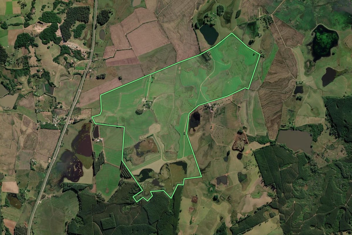 Imagem de satélite do imóvel rural em Barra do Ribeiro (RS), com o contorno declarado no CAR desenhado por cima.