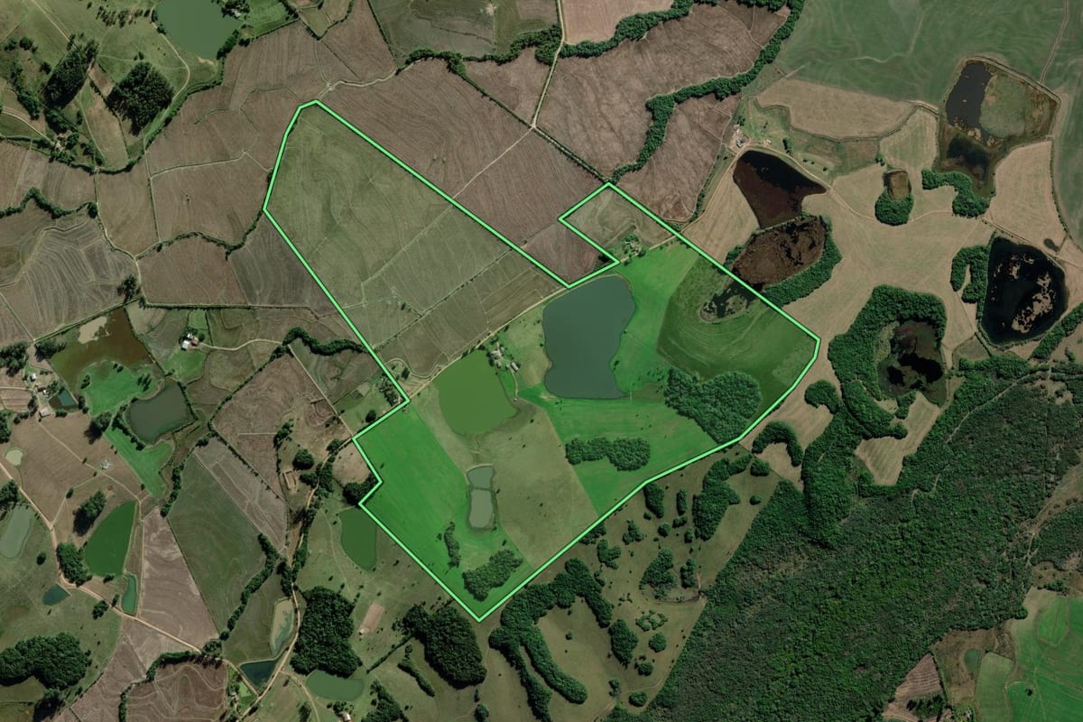 Imagem de satélite do imóvel rural em Barra do Ribeiro (RS), com o contorno declarado no CAR desenhado por cima.