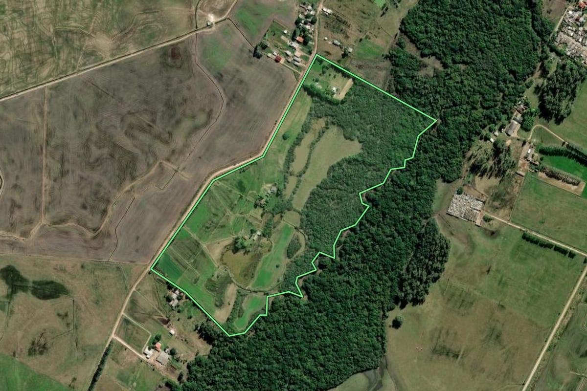 Imagem de satélite do imóvel rural em Barra do Ribeiro (RS), com o contorno declarado no CAR desenhado por cima.