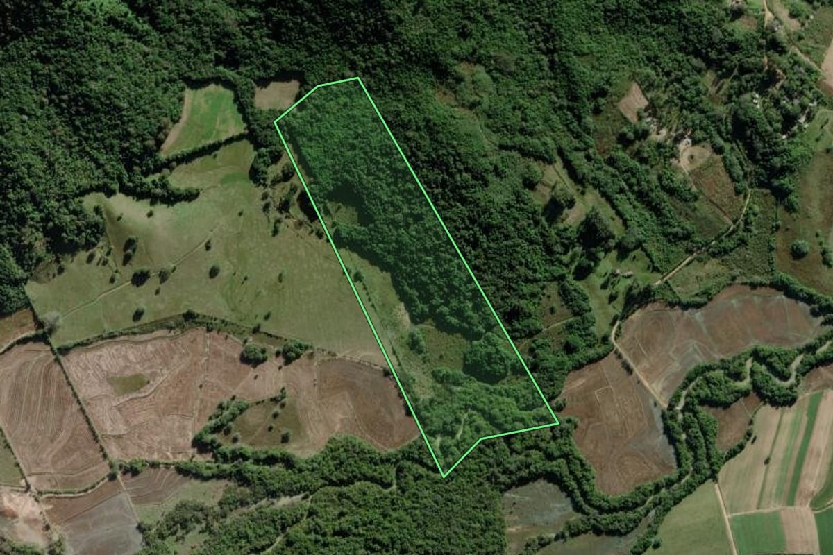 Imagem de satélite do imóvel rural em Barra do Ribeiro (RS), com o contorno declarado no CAR desenhado por cima.